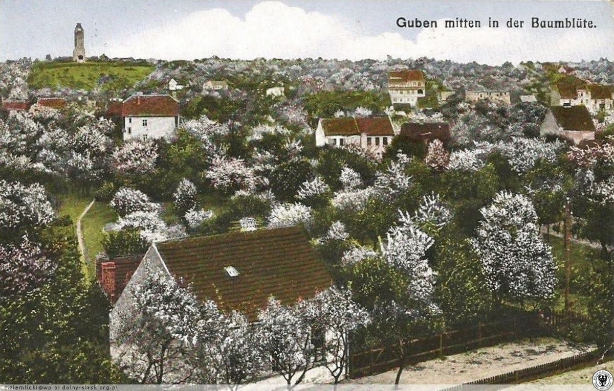 (1) Gubin Hills (coal mines, the former Bismarck tower, the Mountain of Death, the Dębowiec nature reserve)